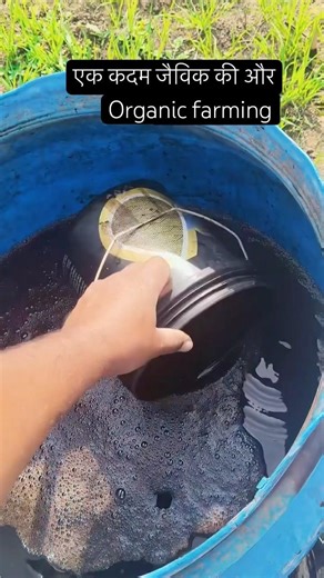 जैविक खेती 💯✅🚀 #organicfarming #farming
