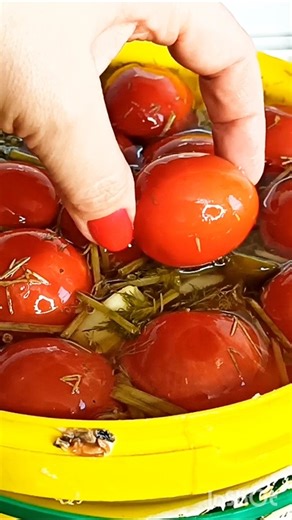 соленые помидоры🍅 открываю ведро🎉#соленья#заготовкиназиму#квашеныепомидоры#бочковыепомидоры#закуска