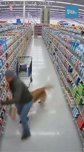 Golden Retriever Pulls Owner Clear Moments Before Aisle Collapse Explosion