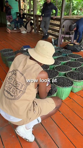 Discover the Health Benefits of Açaí Berries