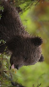 5.2M views · 85K reactions | Four wonderful days ❤️⁣ ⁣ Music: Cover...