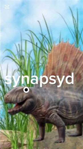 3 facts a bout dimetrodon