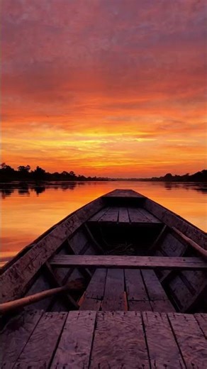 Peaceful Sunset Boat Scene 🌅 #shorts