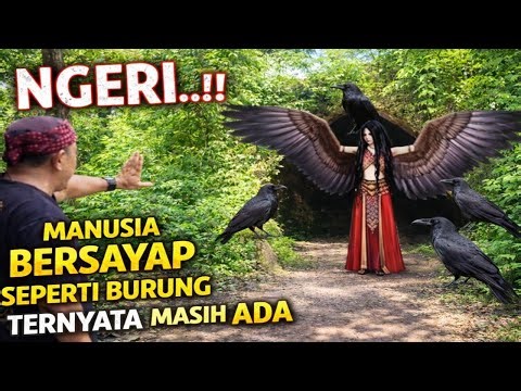 Viral.!! terekam kamera burung gagak berubah menjadi manusia dalam goa di pesisir selatan