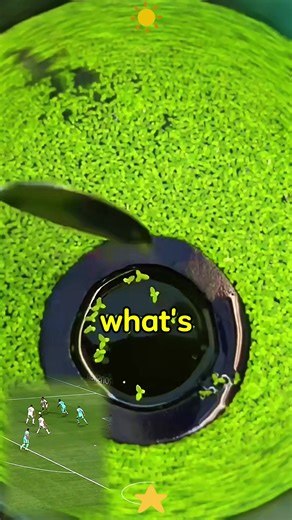 Exploring Disneyland Paris: New World of Frozen Sneak Peek