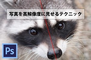 写真の解像度が簡単に上げられる！Photoshopを使って解像度を上げる方法 | フォトとも