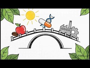 Pectinases Explained: Mechanisms, Industrial Uses & Future of Biotechnology