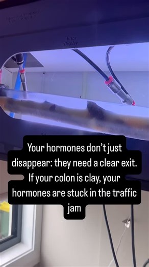 Sometimes when clients come for their first colonic, nothing much moves… or the speculum gets blocked. Why? Because it’s literally like trying to water up clay. This is why I always say—don’t expect miracles on the first session. The magic usually kicks in around the third colonic (though most people do feel lighter and clearer sooner). Here’s the thing: clay = congestion. And congestion = hormones stuck in the traffic jam. Estrogen, cortisol, they don’t just vanish, they need to move out throug