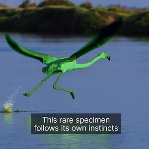 135K views · 22 reactions | Evolve your data with comprehensive solutions that lead to trusted outcomes. | Qlik | Facebook