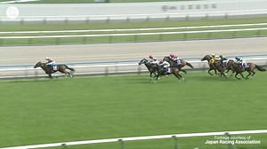SUPER STAYER ⭐️ It's T O ROYAL's G1 Tenno Sho (Spring), proving himself to be the best two-miler in Japan! 🇯🇵 Also, what about DEEP BOND? Placed in this race for the fourth straight year! 🥰 #テーオーロイヤル | #天皇賞 | #HKChampionsDay | #競馬 | World Horse Racing