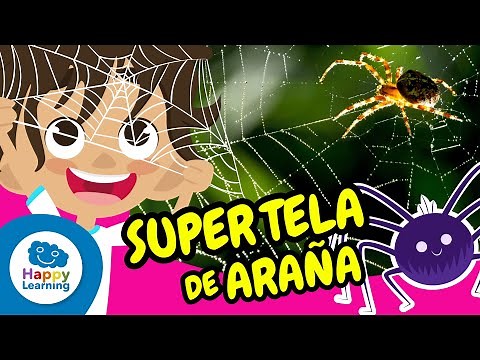 La Tela de Araña y sus Increíbles Secretos | Happy Learning 🕸️🕷️🌍