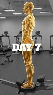 Do Rows DAILY for 30 Days… INSANE Results 😳🔥#FitnessTransformation #WorkoutResults