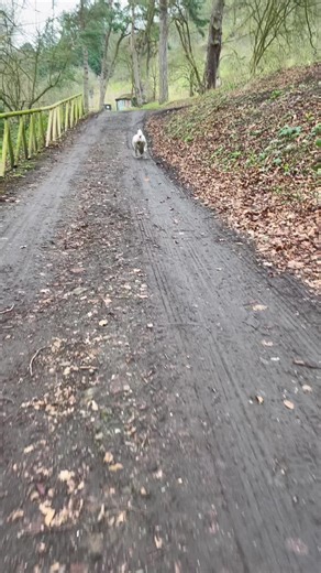 #swonqueen life an death right there 😱