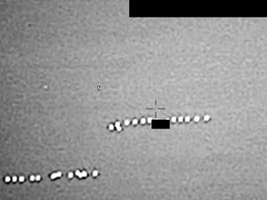 AARO（全領域異常解決局）が公開したUFO動画が「ガッカリすぎる」と話題に。正体はただの鳥？ - TOCANA