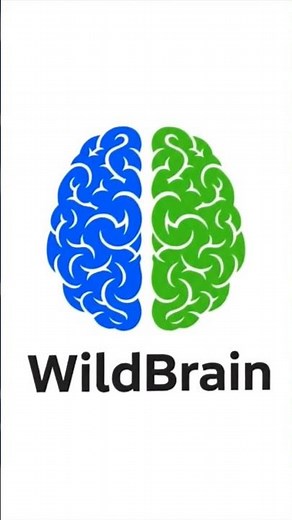 eOne/!4Kids/9 story entertainment/wildbrain/Happy birthday hun kids