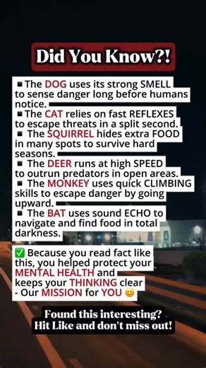 20K views · 199 reactions | Amazing Survival Tricks Of Everyday Mammals #facts | Time Facts | Facebook