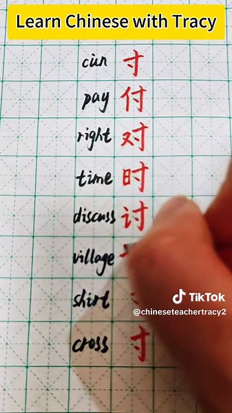 Tracy Chinese teacher on TikTok