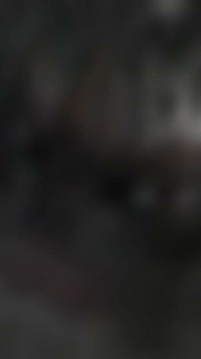 ¿Y si ponemos solos, a un FURIA NOCTURNA y un SALVAJIBESTIA quien ganaría?