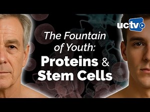 The Fountain of Youth: Proteins and Stem Cells