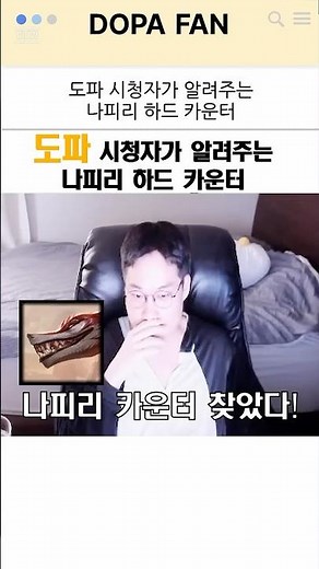 도파 시청자가 알려주는 나피리 하드카운터