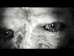 What This Trail-Cam Recorded, Will Horrify You!