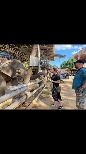 Chiang Rai UTV & Adventure Tours on Reels