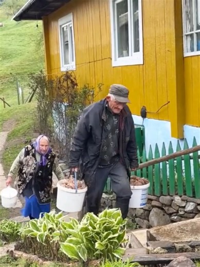 Cozy Countryside Mom Cooking & Homestead Life