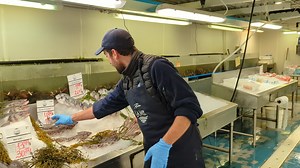 Arrivage du 16 decembre | Poissonnerie La Mer