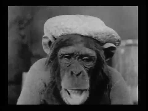 Our Gang Little Rascals (1922) Monkey Business
