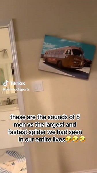 Giant Huntsman Spider: Watch People's Reactions