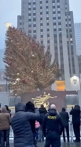 Historic accident: the Christmas tree at Rockefeller center falls | Alex & Cris P