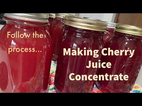 Making Cherry Juice Concentrate with Tart Cherries - Canning - Preserving Fruit - Steam Juicer