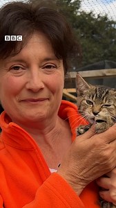 'We have more than 100 cats living in our house.' A Yorkshire family have turned their house into a cat rescue centre. | BBC Yorkshire