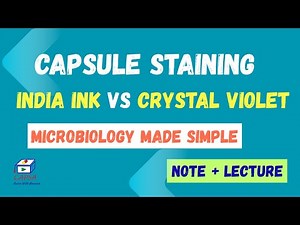 Capsule Staining Method Explained | Bacterial Capsule Visualization