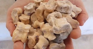 Estes dados de osso eram usados em rituais há 2.300 anos em Israel