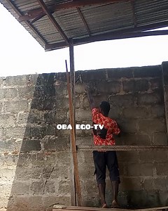 2.1K reactions · 11 comments | Lizard catch one of Africa lizard training farm #highlights | Deprince Tochukwu Olinya | Facebook