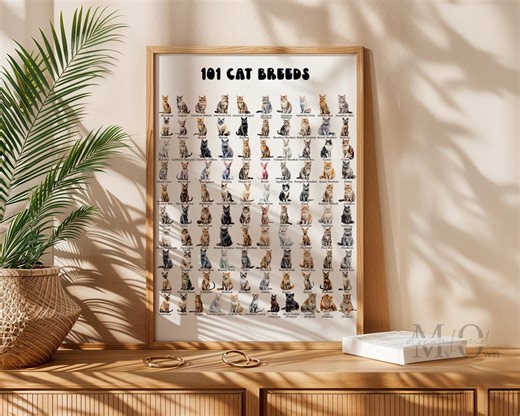 Cat Breeds Poster: Colorful Animal Wall Art for Kids (digital Download) - Etsy