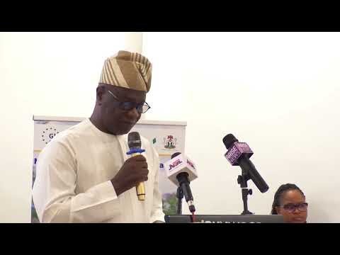 NEMSA Releases Guidelines for Interconnecting Solar Mini-Grids in Nigeria