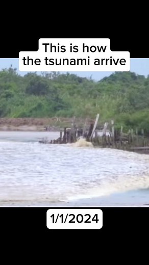 Understanding Tsunamis: Arrival and Impact