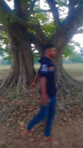 Jemiti Bhola Paiba (Puja Tu Mo Chatira Kalija) | #sad # shots reels