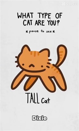 #capcut what type of cat are you? Dixie | cats