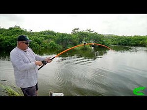 Hellcat Rod Series Gator Trip