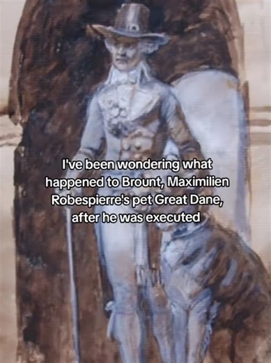 I miss Maximilien Robespierre #MaximilienRobespierre #frenchhistory #frev #xybca #fyp