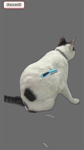 Hướng dẫn chơi game chải lông cho mèo #catsoftiktok #tiktok #fyp