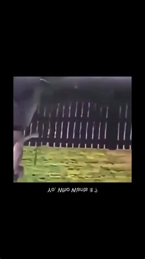 Heavily Drunkk 😵 on Instagram: "😵 A drunk man staggers through the streets, laughter mixing with slurred words as he argues with the night itself. His steps are uneven, confidence high and balance completely missing, bumping into walls, lamp posts, and occasionally his own thoughts. The city lights blur into a spinning glow, strangers become temporary friends or enemies, and every small moment feels dramatic and loud. It’s chaos wrapped in carelessness — funny from a distance, reckless up clos