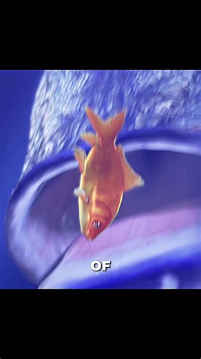 Goldfish Survives 7 Years In A Filtration Tank #zackdfilms #fyp #animation #didyouknow #knowledge