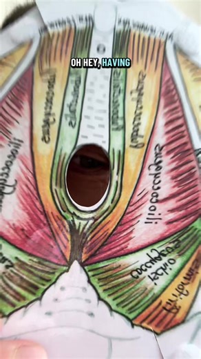 Oh hey 👋 Having trouble with your bladder? 🚨 Friendly reminder 🚨 TONIGHT from 8–9 PM Eastern Standard Time I’m hosting my FREE Pelvic Floor 101 webinar. We’re going to cover: 🧠 Why your bladder behaves the way it does 🚽 Techniques to manage bladder urgency 💬 Live Q&A — bring your questions ✨ There’s still time to sign up 👉 Link is in the bio (you must register to get the Zoom link) And if you can’t make it tonight? 📩 DM me the word “BLADDER” and let’s connect. You don’t have to figure th