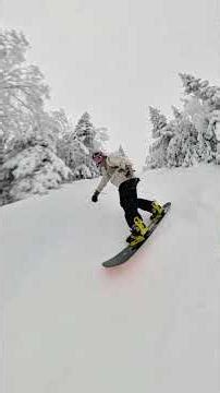 Tryin some editing techniques on pc... #gopro #gopromax2 #trending #foryou #snow #gopromax