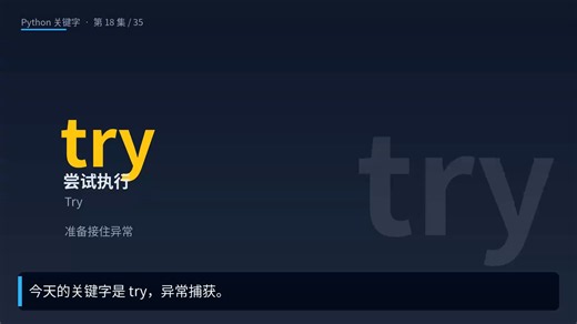 python_关键字18_try