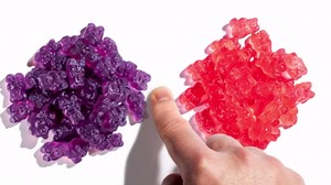 Albanese True to Fruit American Favorite Fruits Gummies | 25oz Candy Bag | Soft and Chewy Gummy Bears, 10 Natural Flavors and Colors | Bing Cherry & More | Tastes like Real Fruit at Peak of Ripeness
